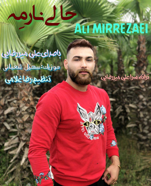 علی میررضایی حالی نارمه